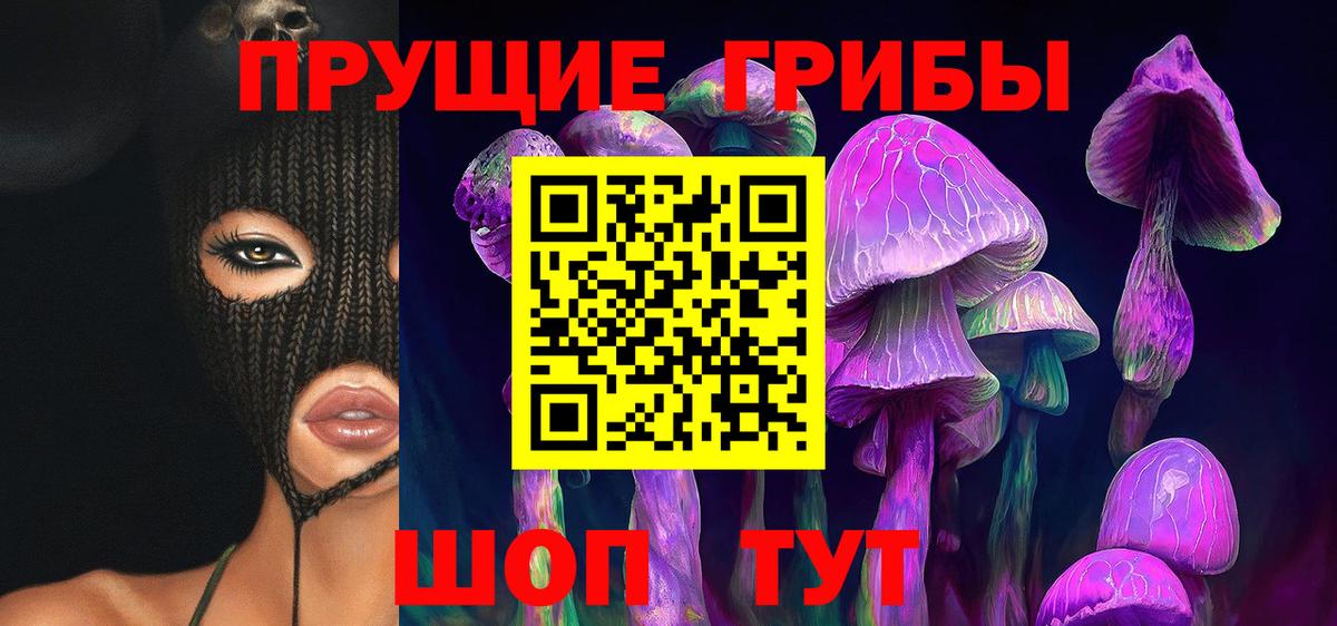Псилоцибиновые грибы MAGIC MUSHROOMS  Вход с VPN  Каменск-Уральский 